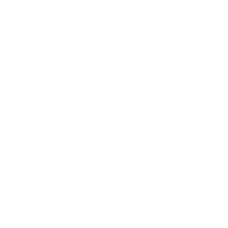 iNetho